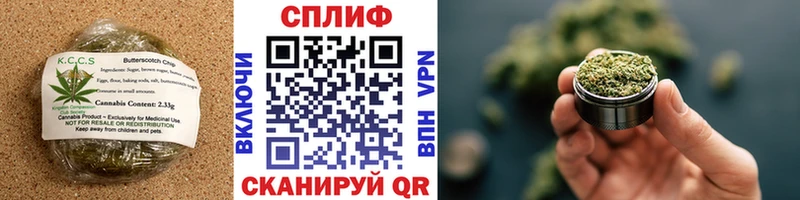 закладки  Могоча  Cannafood марихуана 