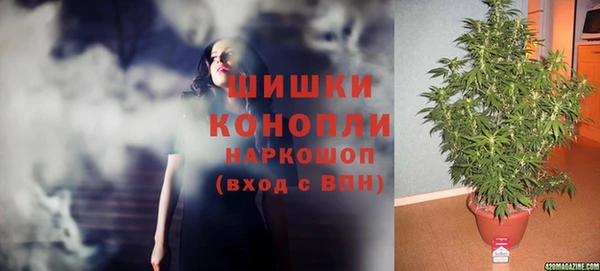 jwh Алзамай