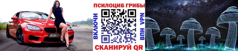 KRAKEN рабочий сайт  Могоча  Галлюциногенные грибы MAGIC MUSHROOMS 
